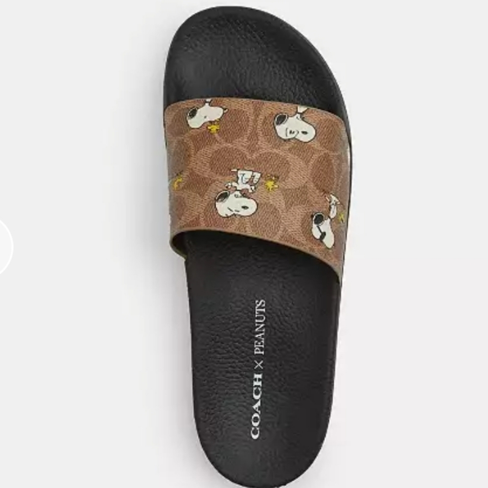 Coach Slides - Picture 3 of 4